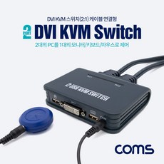 dvi스위치