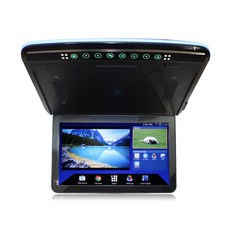 카니발천정모니터