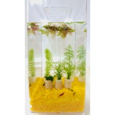 애완새우키우기세트+led자동청소어항꾸미기 마리모 수경식물수초키우기, 노란색 바닥제