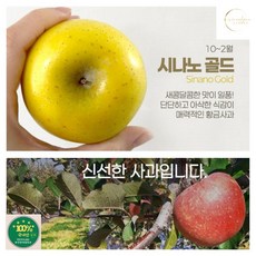 시나노 가정용 (중과) 4.5KG (17-20과) 시나노사과