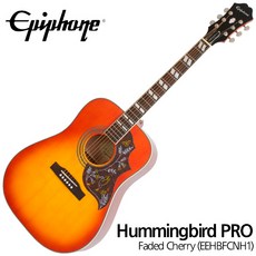 [프리버드] 에피폰 Epiphone 통기타 허밍버드 프로