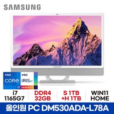 *13세대 모델로 출고됩니다* 삼성 올인원PC DM530ADA-L78A - 32GB S1TB+H1TB WIN11 HOME 사무용 가정용 공간활용 일체형PC ED