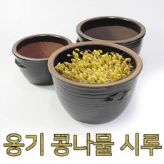 소가콩나물