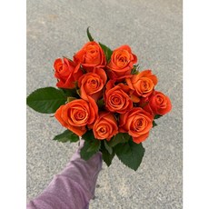 f10b6c490be64d676575176bbb670a7fe9afffa426934ba6008018dc5ad9.jpg