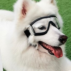 강아지 고글 대형견 리트리버 도베르만 안구보호