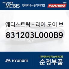 리어 도어 바디 사이드 웨더스트립(뱀띠고무) 우측 (831203L000B9) 현대모비스 부품몰 그랜저TG