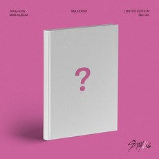 스트레이키즈크리스마스이블