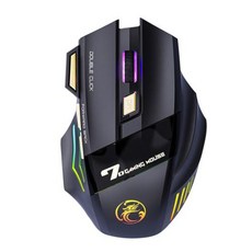 무선 게이밍 마우스 블루투스 인체공학적 충전식 광학 USB 리시버 RGB 게임용 컴퓨터 드라이버 프리 조절 가능 2 Ghz 4Ghz, 없음, 1) TYPE1