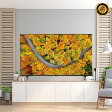 LG전자 4K UHD LED TV, 163cm(65인치), 65UR342C9NC, 스탠드형, 방문설치