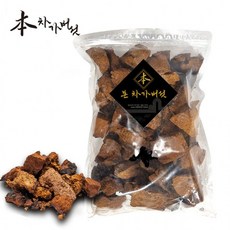 [와이제이] 러시아 차가버섯 본 1kg 어버이날 원물 차가 100% 건강 세트 선물 버섯, 1개