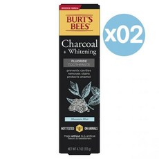 Burt's Bees 버츠비 차콜 + 화이트닝 투스페이스트 마운틴 민트 133g 2팩 Toothpaste Natural Flavor Charcoal with Fluoride