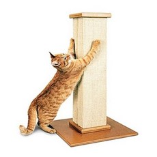 파이오니아스크래쳐