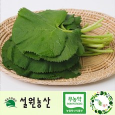 [친환경무농약]강원도 인제 곰취/곤달비 1kg/2kg, 2_무농약인증_인제곤달비, 1개, 1kg