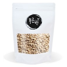 푸른빈 모링가 씨앗 속씨, 200g, 1개