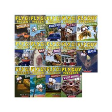 플라이가이세트