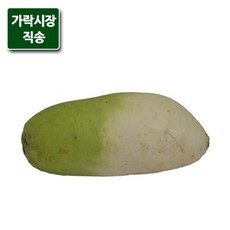 가락시장까망콩열무