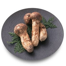 [미식한가] 프리미엄 명품 송이버섯 가정용 1kg (랜덤사이즈), 없음