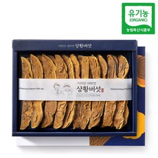 산청 지리산 새희망 유기농 상황버섯 특품 선물용 절편 100g