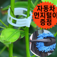 고추끈매는클립