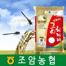 2022년햅쌀/고시히카리/쌀4KgX2개/조암농협쌀/경기도지사인증쌀/햅쌀/GAP우수농산물시설인증, 2개, 4Kg