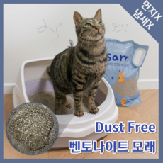 SPACEBAR 더스트프리 천연 벤토나이트 고양이 모래, Dust Free 무향, 1개, 8L - 페스룸