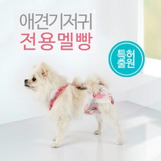 애견 기저귀 전용 멜빵, 중형, 1개, 1개입, 중형 - 강아지기저귀멜빵