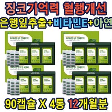 징코 두뇌건강 비타민E 학생 주부 직장인 기억력개선 징코 은행잎추출물 기억력 혈행개선 도움 항산화 수험생 노인 중년 여성 기억력 혈행개선 가성비 선물 홈쇼핑 온가족