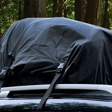 캐리어레인커버