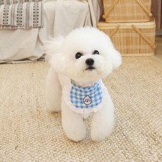 레이스스카프빕