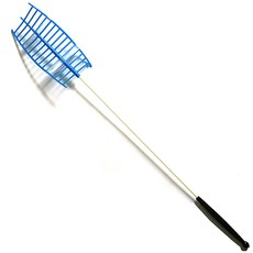 갈겨니낚시