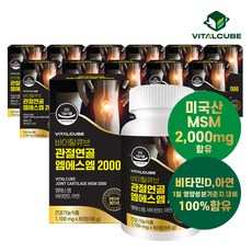  바이탈큐브 [바이탈큐브] 관절연골 엠에스엠 2000 60정x12개(12개월), 60개 