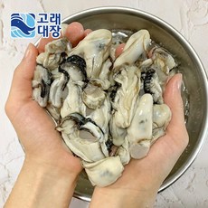 굴회
