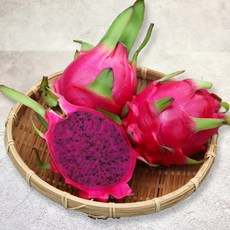 국산 열대과일 레드 용과 드래곤후르츠 2kg, 적용과2kg(7-9과)
