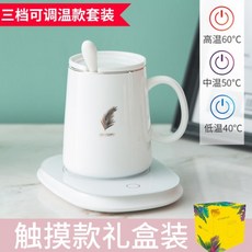 자동온도조절핫플레이트