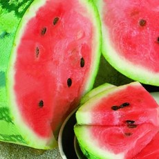 컬러그램픽싱파우더오일페이퍼