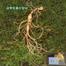 산청삼장교