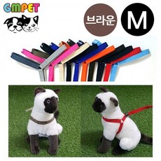 발왕산케이블카스카이워크
