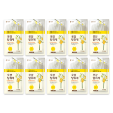 크린스타 옷장탈취제, 10개