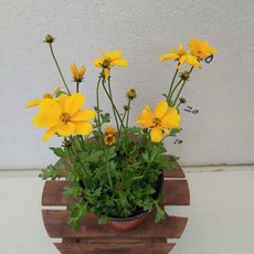bf920af6a6b21721a6a7c38d4fd822d8dac9b8a14c491e835cf14f0abc79.jpg