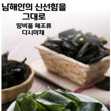 대복식품 땅바풍 해조류 완도 염장 다시마채 대용량_본사직송, 2개, 3kg