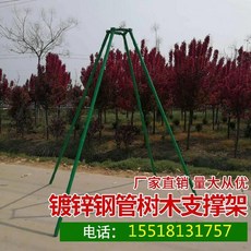 8cb11c0d024bbd3e2ecf1005f552f07d324177529303fe8d68d66e221a67.jpg