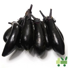 사라상회 가지 8Kg (상), 1박스