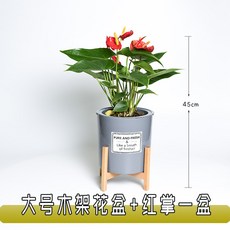 d3de6055ac70a24f1ec8255da8d7351d1489b2b19edec511248ad714994a.jpg
