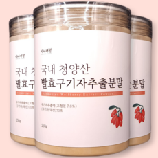 추천10 청양발효구기자