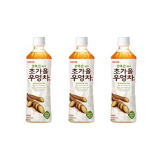 초가을 우엉차 500ML, 12병, 12개