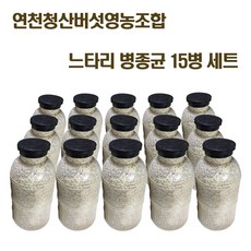 느타리버섯 종균 재배 버섯 키우기 노랑 흑색 흰색 칡느타리 원목재배 15병 세트, 흰색느타리 병종균 15병