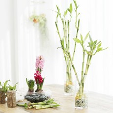 뿌리깊은나무창간호