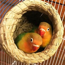 천연 앵무새새장 밀짚 수제 새 둥지 비둘기 집 앵무새 둥지 따뜻한 애완 동물 침실 안뜰 작은 새장 용품, C, 1개