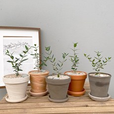 6d1508d39258d11fe36d0905561dd565c966319804f9c21ef6337941bec6.jpg