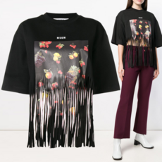 알레그로프린지